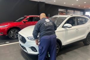 gestión integral de concesionarios